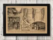 POSTER PRINT Butcher Shop French Knowledge Poster Meat Cuts Kitchen Decor