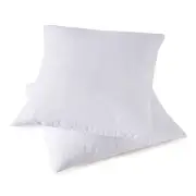 Throw Couch Pillows Inserts, Set of 2 Down Feather Pillows Inserts Bed and Co...