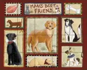 Dog Tile Backsplash Jensen Canine Art Ceramic Mural DJ025