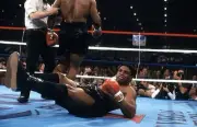 Trevor Berbick Is Knocked Down By Mike Tyson Old Boxing Photo