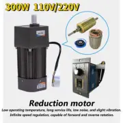 300W AC Motor Adapter Gear Box Electric Motor Speed Variable Controller 220/110V