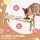 【毛孩王】AFU 台製三口原木餐桌 寵物碗架 寵物碗 貓碗 狗碗 寵物餐桌PTS3 (8.7折)