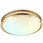 Luxrite 18 Inch LED Flush Mount Light 5 Color Option Dimmable 24W 2160 Lumens