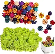 KALLORY Artificial Moss for Craft Terrarium Supplies Realistic Dried Cross Fruit Decor for Potted Plants