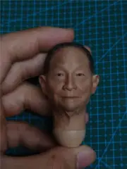 1:6 China Yuan Longping Head Sculpt Carved Fit 12in Male Action Figure Doll Toys