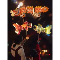 在飛比找ETMall東森購物網優惠-希寶 新年鴻運金魚燈舞龍燈兒童diy手工發光手持燈籠花街道具
