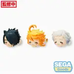 【大翰先生】現貨 景品 代理版 SEGA 約定的夢幻島 貓耳趴姿 艾瑪&雷&諾曼 全3種3入 55020 0721