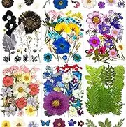 133Pcs Dried Pressed Flowers for Resin Molds, Assorted Real Natural Bulk Dry Floral Leaves for DIY Art Crafts, Epoxy Jewelry, Soap, Candle Making, Nails Decor