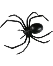 Black Widow Spider 15cm
