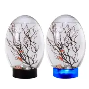 19x8.2cm/7.48x3.23in Closed Aquatic Ecosystem Simple Transparent Design