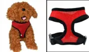 Adjustable Comfortable Soft Polyester Cat Dog Red Harness Walking Vest Sz Small