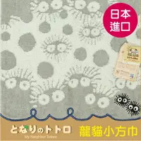 在飛比找樂天市場購物網優惠-【沙克思】TOTORO滿佈樹洞內煤球龍貓小方巾 特性：100