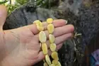 Baltic Amber Milky Butterscotch Necklace Natural Untreated Beads Jewelry 24.2" 2