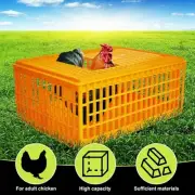 Poultry Transport Crate Heavy Duty Plastic Chicken Transport Cage
