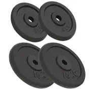 Weight Plates 4 pcs 2x10 kg+2x5 kg Cast Iron vidaXL