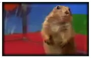 Magnet #152 Dramatic Gopher Chipmunk Meme Viral Internet Video Hello! Morning