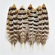 Natural Chicken Birds Duck Peacock Pheasant Feather Fowl Feathers for Craft Handicraft Accessories Decoration Size 10-15CM3 20 Piece