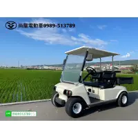 在飛比找蝦皮購物優惠-［尚龍］高爾夫球車.中古高爾夫球車.中古電動車.電動代步車.