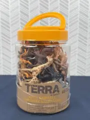 Terra by Battat – 60 Pcs Wild Creatures Tube – Realistic Mini Animal Figurines