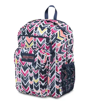 [現貨] jansport 雙肩多功能後背包 digital student V型紋