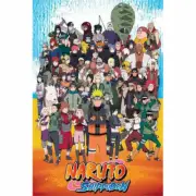 Naruto Shippuden - Cast POSTER 61x91.5cm NEW Hinata Gaara Jiraiya Sasuke Kakashi