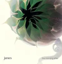 在飛比找PChome24h購物優惠-James / The Morning After CD