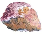 DENDRITIC MOSS AGATE DENDRITIC OPALITE SPECIMEN 82 X 64 X 50 MM 245 G