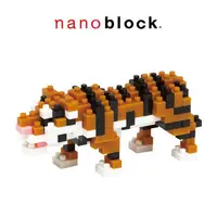 在飛比找PChome24h購物優惠-【Nanoblock 迷你積木】孟加拉虎 NBC-104