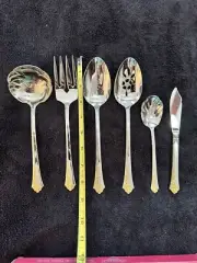 6 Pc Oneida Golden Damask Rose Stainless Flatware New Old Stock Hostess
