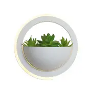 Acrylic Oval Led Bedroom Bedside Wall Lamp Living Room Light Modern Plant