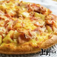 在飛比找momo購物網優惠-【上野物產】15片 熱浪夏威夷鳳梨果肉pizza(120g土