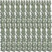 Whonline 10pcs Eucalyptus Garland for Table 60ft Artificial Greenery Garland Eucalyptus Vines Faux Silver Dollar Eucalyptus Leaves Vines Plants for Wedding Arch Wall Garden Decoration