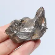 143g Gebel Kamil iron meteorite, Egypt, Space Gift, meteorite, specimen R822