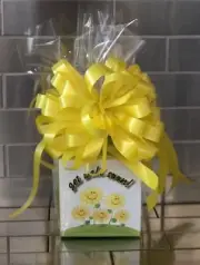 Get Well Soon Gift Basket-Box With Chocolate Dove Promises Wrap & Yellow Bow