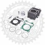 New Cylinder Kit 125cc Fits Honda FES 125 A S-Wing ABS