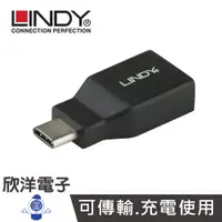 在飛比找蝦皮商城優惠-LINDY林帝 USB 3.2 Gen2 TYPE-C 公 