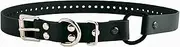 Educator Bungee Dog Collar, Biothane, Waterproof, Odorproof, Metal Buckle and D Ring with Comfort Bungee Loop Adjustable for Custom Fit, 3/4-Inch, Black