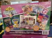 2024 Winter POKEMON MEGA MYSTERY POWER BOX, NEW & SEALED XY or Evolving Skies?