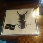 Odds - Bedbugs CD Brand New