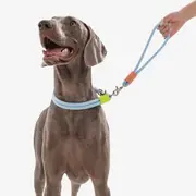 Maogou Blue Marshmallow Short Dog Leash Light Blue