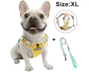 Dog Chest Harness Traction Rope, Breathable Pet Vest for Outdoor Walking Training Control for Medium Large Breeds-Yellow-XL