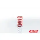Eibach 0950.500.0450 Conventional Front Spring