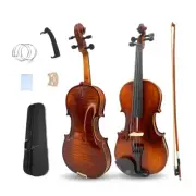 4 String 4/4 Full Size Violin Kit Solid woodViolin Ebony Maple Spruce Fittings