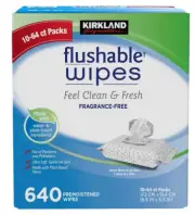 Kirkland Signature Flushable Wipe 640 Premoistened Wipes Towelettes