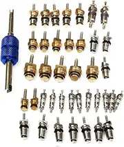 LIFKOME 40Pcs Tire Stem Core Remover Tool for Air Conditioning Durable and Watertight A Accessories for Car Maintenance