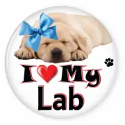 I LOVE MY LABRADOR RETRIEVER DOG PUPPY 3" SAFETY PIN BACK BUTTON