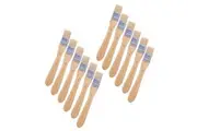 12x Jasart Hog Bristle Flat Head Size 1 Art Craft Paint Colour Brush Series 713