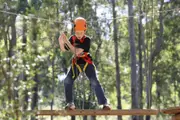 Children's Treetops Ropes Course - Abbotsbury