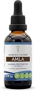 Amla Tincture Alcohol-Free Extract, Organic Amla (Emblica Officinalis) Dried Fruit 2 oz