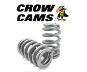 SET OF 12 120LB BEEHIVE VALVE SPRINGS FOR HOLDEN CREWMAN VY ECOTEC L36 3.8L V6
